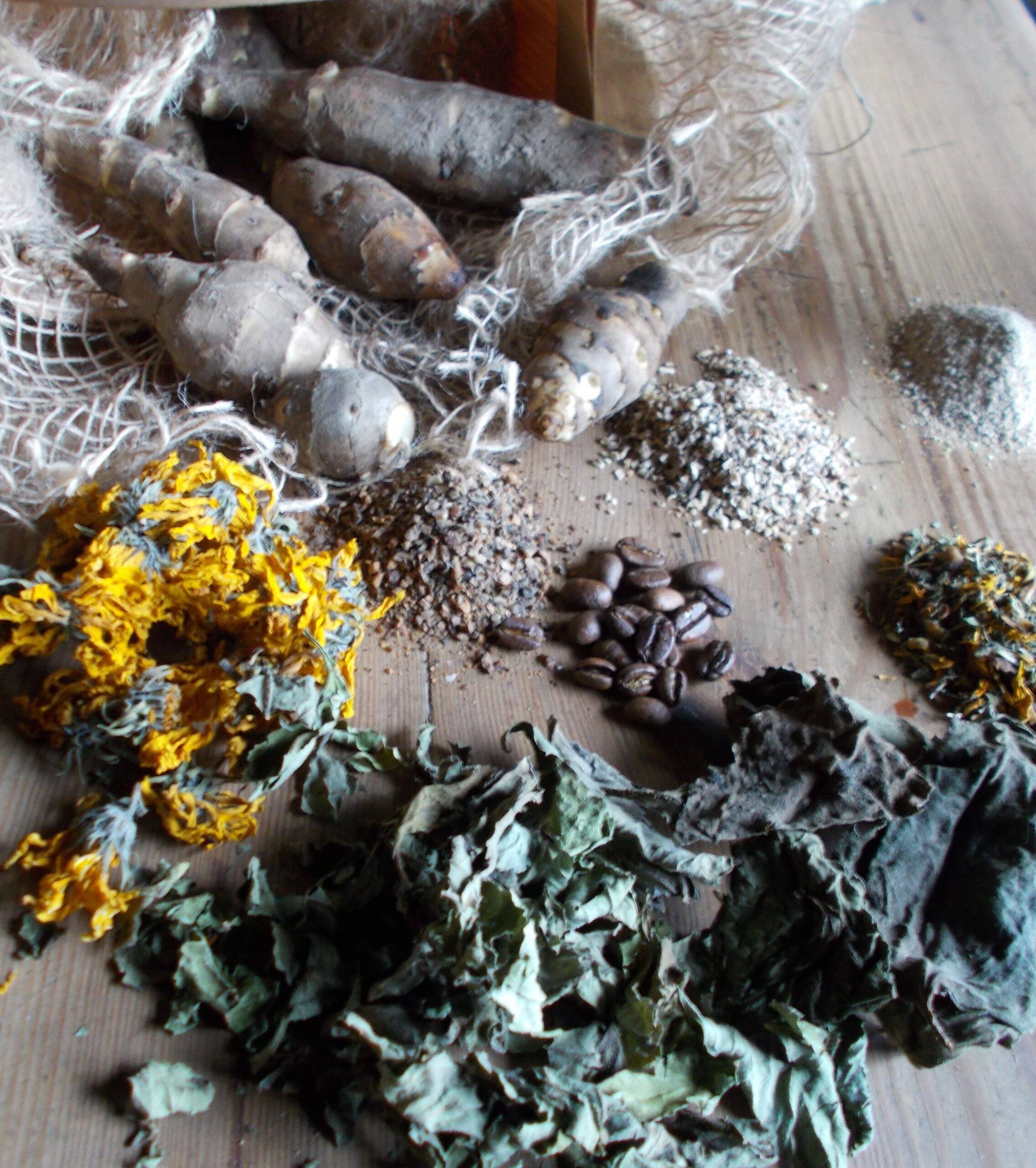 Herbata z topinamburu