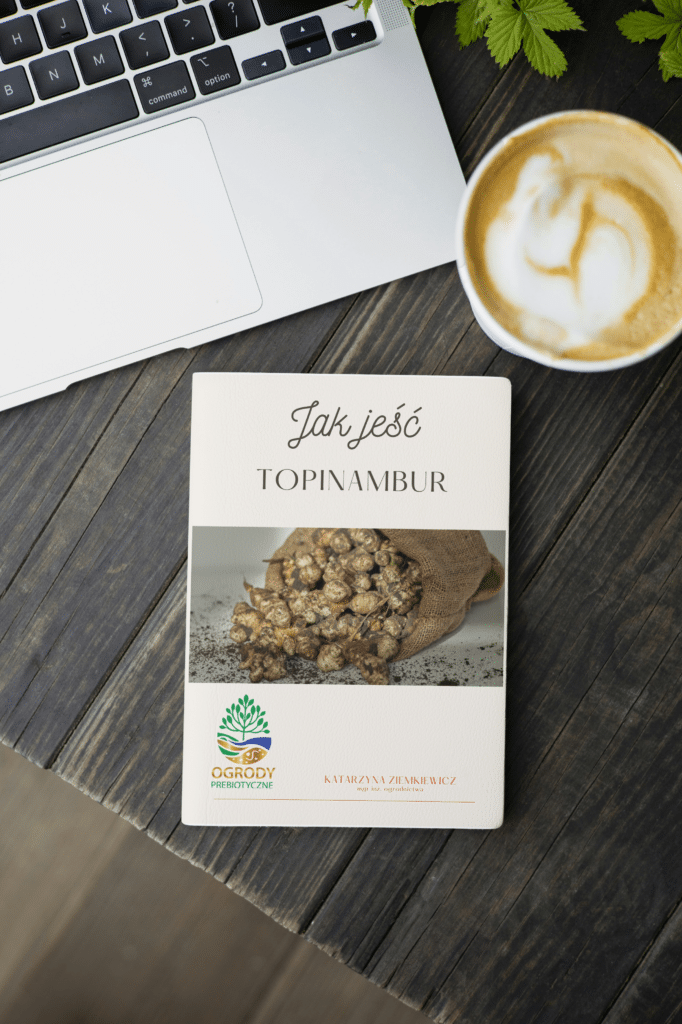 Jak jeść topinambur ebook